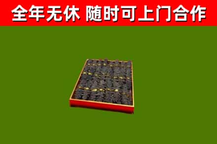 江苏省回收海参